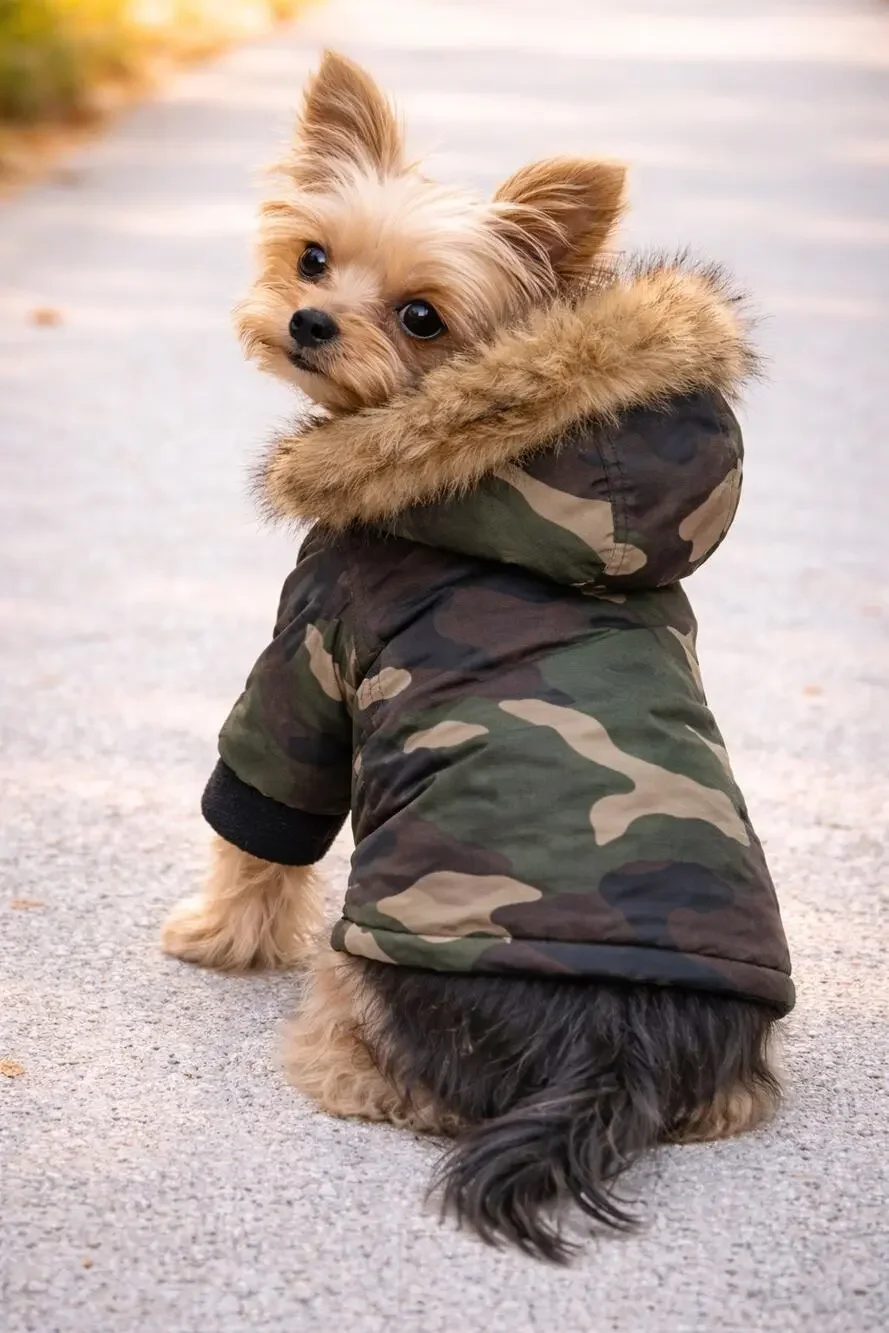 Theo Camo Hooded Dog Jacket Faux Fur Trim Front Sleeves Cozy Winter Coat